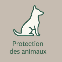 Icône chien assis – Protéger ses animaux en cas d’incendie ou d’évacuation