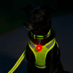 Comparatif 2025 : Quels harnais et accessoires réfléchissants choisir pour protéger vos animaux en situation d’urgence ?